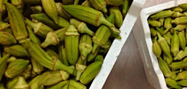 طريقة عمل طاجن البامية صورة مقال طريقة عمل طاجن البامية