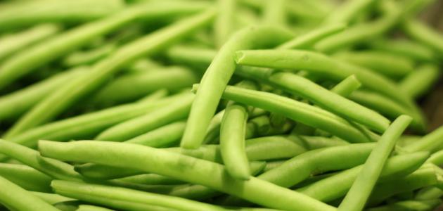 كيفية زراعة الفاصوليا صورة مقال كيفية زراعة الفاصوليا