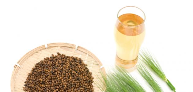 فوائد شراب الشعير صورة مقال فوائد شراب الشعير