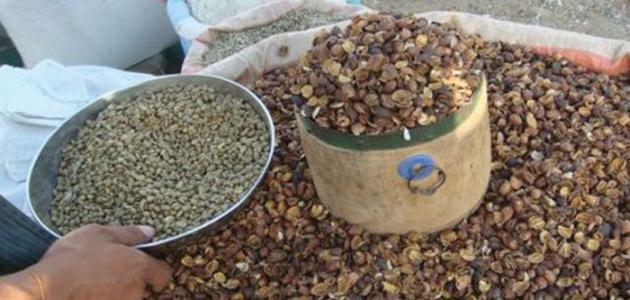 طريقة عمل قشر القهوة للتنحيف صورة مقال طريقة عمل قشر القهوة للتنحيف