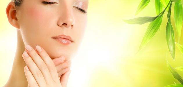 فوائد زيت زيتون للوجه صورة مقال فوائد زيت زيتون للوجه