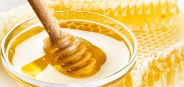 فوائد عسل النحل للبشرة صورة مقال فوائد عسل النحل للبشرة