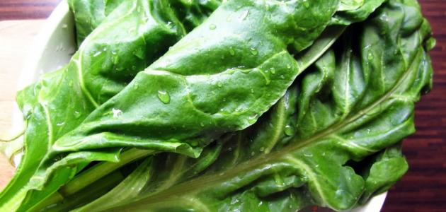 فوائد السبانخ للرجيم صورة مقال فوائد السبانخ للرجيم