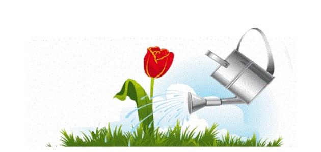 أهمية الأخلاق في المجتمع صورة مقال أهمية الأخلاق في المجتمع