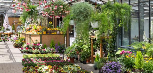 طرق الزراعة صورة مقال طرق الزراعة