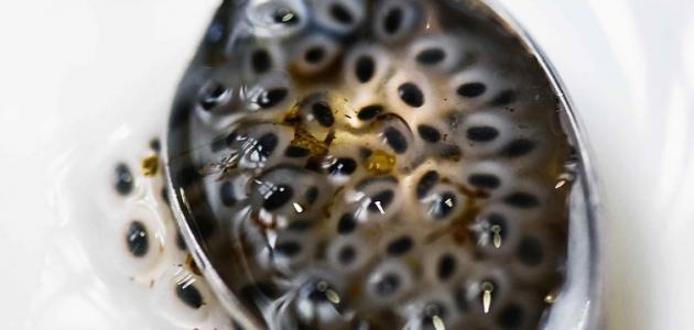 فوائد بذور الريحان صورة مقال فوائد بذور الريحان