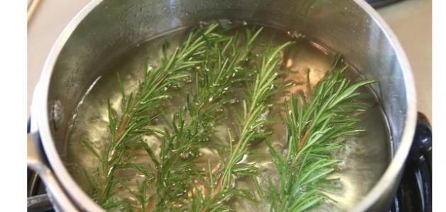 فوائد عشبة إكليل الجبل للشعر صورة مقال فوائد عشبة إكليل الجبل للشعر