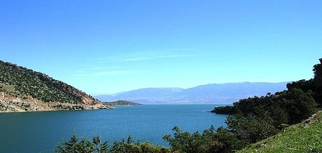 أهمية العوامل المناخية على الإنتاجية النباتية والحيوانية صورة مقال أهمية العوامل المناخية على الإنتاجية النباتية والحيوانية