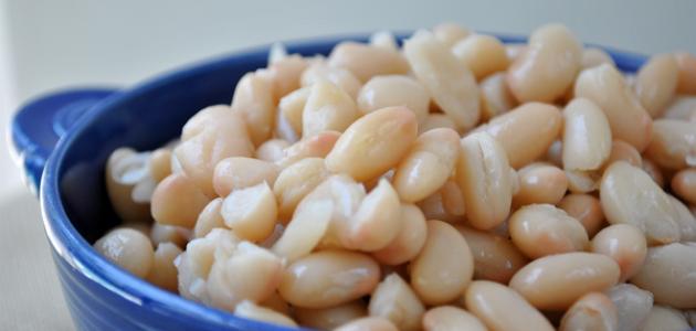 طريقة سلق الفاصوليا البيضاء صورة مقال طريقة سلق الفاصوليا البيضاء
