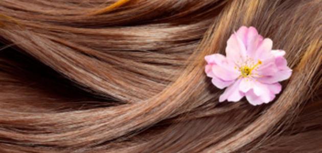 طرق الاعتناء بالشعر صورة مقال طرق الاعتناء بالشعر