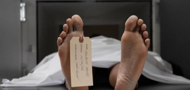 مراحل تحلل الجثة صورة مقال مراحل تحلل الجثة