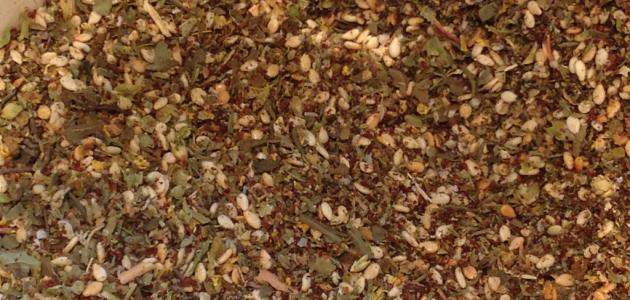 فوائد الزعتر المطحون مع السمسم صورة مقال فوائد الزعتر المطحون مع السمسم