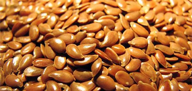 فوائد زراعة الكتان صورة مقال فوائد زراعة الكتان