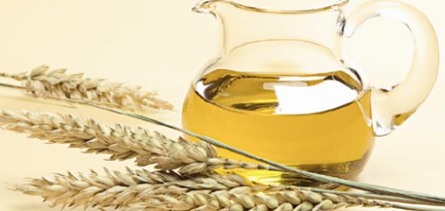 فوائد زيت جنين القمح للوجه صورة مقال فوائد زيت جنين القمح للوجه