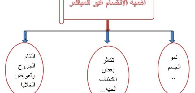 أهمية الانقسام غير المباشر صورة مقال أهمية الانقسام غير المباشر