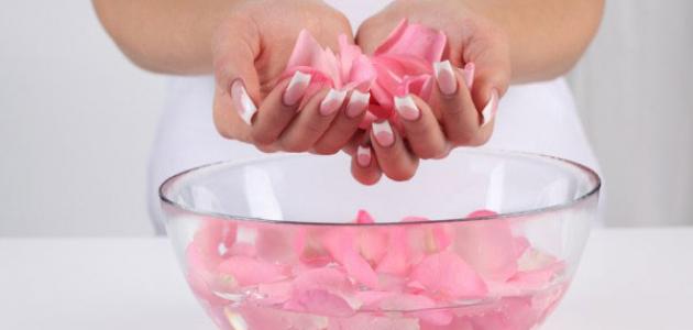 فوائد شرب ماء الورد صورة مقال فوائد شرب ماء الورد