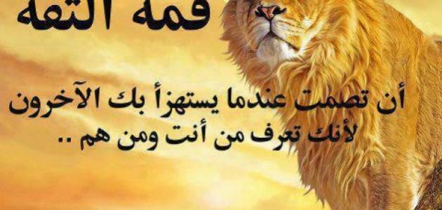 كلمات عن عدم الثقة صورة مقال كلمات عن عدم الثقة