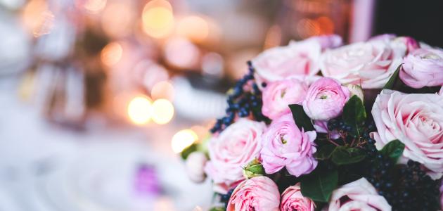 شعر عن الورد صورة مقال شعر عن الورد