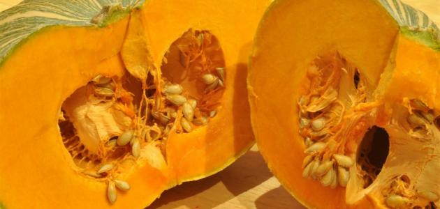 فوائد شجرة اليقطين صورة مقال فوائد شجرة اليقطين