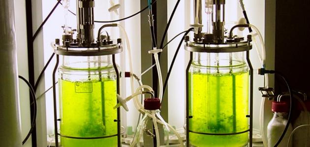 إعادة تدوير الزيوت المستعملة صورة مقال إعادة تدوير الزيوت المستعملة