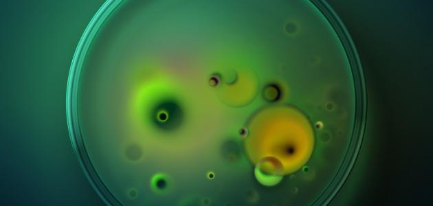 مرض نقص الخميرة صورة مقال مرض نقص الخميرة