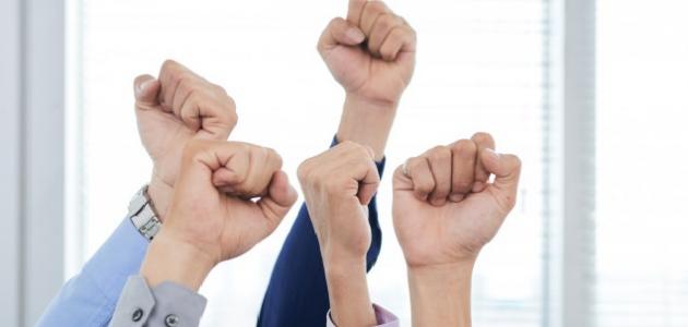 أهمية التضامن والتعاون بين الأفراد والمجتمعات صورة مقال أهمية التضامن والتعاون بين الأفراد والمجتمعات