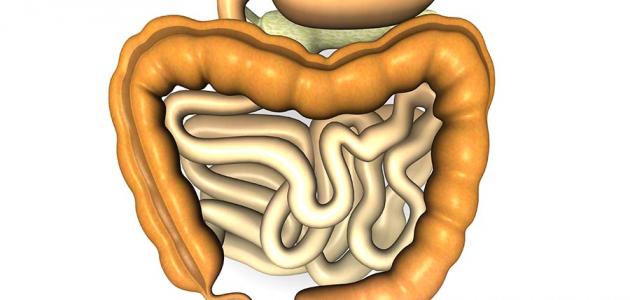 ما أعراض القولون صورة مقال ما أعراض القولون