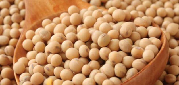 طريقة تحميص فول الصويا صورة مقال طريقة تحميص فول الصويا