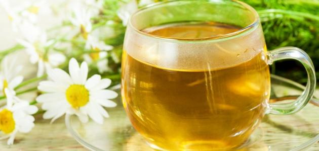 فوائد زهرة البابونج للتخسيس صورة مقال فوائد زهرة البابونج للتخسيس