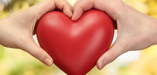 حكمة رائعة عن الحب صورة مقال حكمة رائعة عن الحب