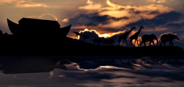 بحث عن سيدنا نوح عليه السلام صورة مقال بحث عن سيدنا نوح عليه السلام