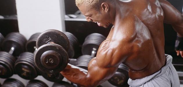 كمال الأجسام والتمارين الصحيحة صورة مقال كمال الأجسام والتمارين الصحيحة