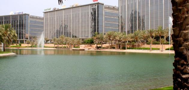 مدينة دبي للإعلام صورة مقال مدينة دبي للإعلام