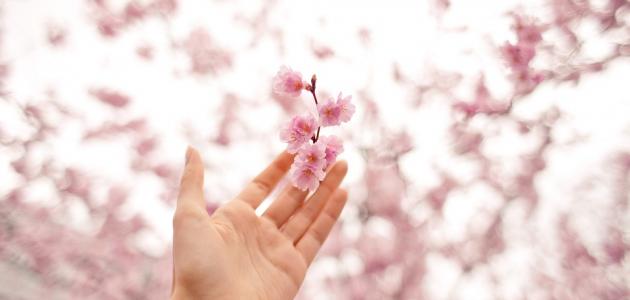 اتبع السيئة الحسنة تمحها صورة مقال اتبع السيئة الحسنة تمحها