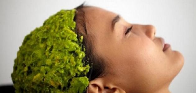 ما فوائد الأفوكادو للشعر صورة مقال ما فوائد الأفوكادو للشعر