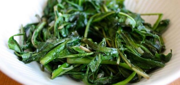 كيفية طبخ الهندباء صورة مقال كيفية طبخ الهندباء