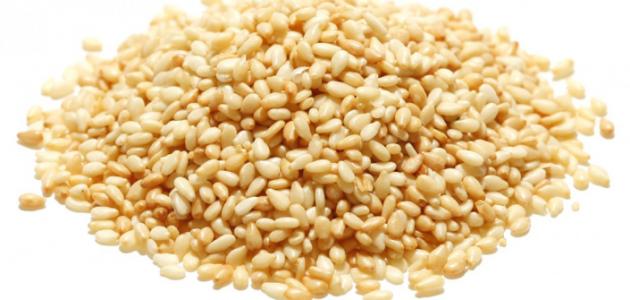 كيفية زراعة السمسم صورة مقال كيفية زراعة السمسم