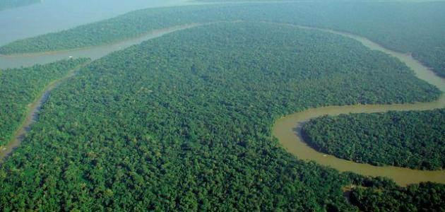 أين يوجد نهر الأمازون صورة مقال أين يوجد نهر الأمازون