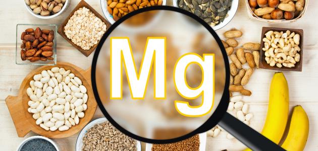أين يوجد المغنيسيوم في الغذاء صورة مقال أين يوجد المغنيسيوم في الغذاء