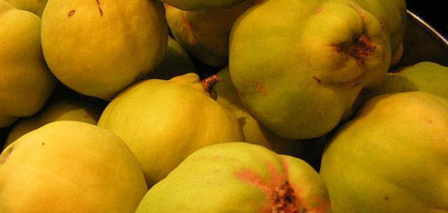 كيف يؤكل السفرجل صورة مقال كيف يؤكل السفرجل