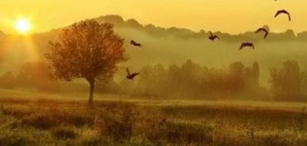 كلام حب في الصباح صورة مقال كلام حب في الصباح