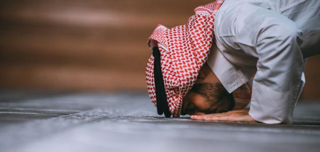 كم عدد ركعات سنة الظهر صورة مقال كم عدد ركعات سنة الظهر