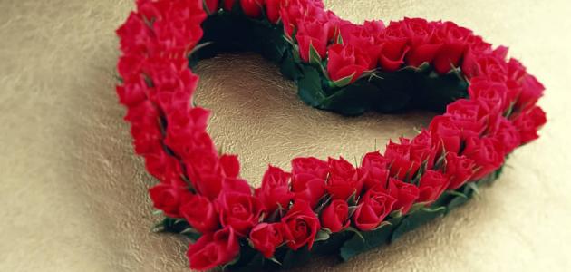 أقوال وأمثال عن الحب صورة مقال أقوال وأمثال عن الحب