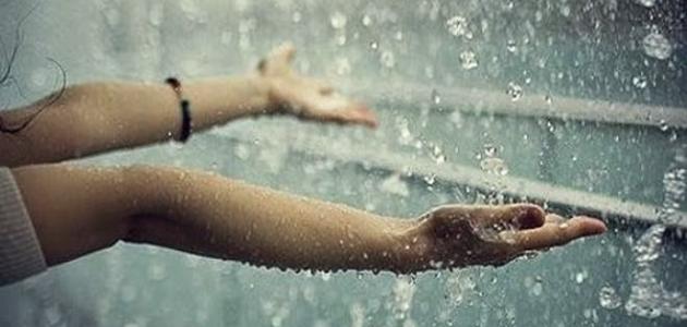 خواطر عن المطر صورة مقال خواطر عن المطر