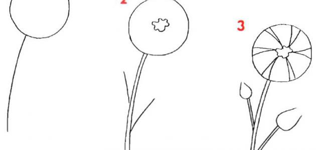 كيف تتعلم رسم صورة مقال كيف تتعلم رسم