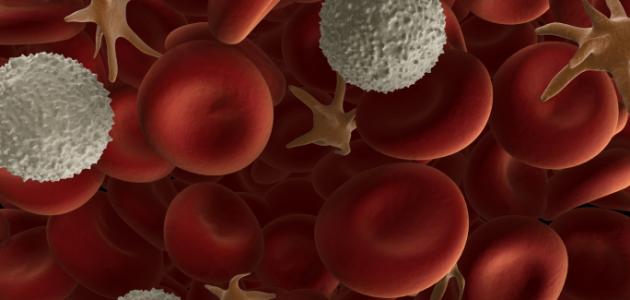 بكتيريا الدم عند المواليد صورة مقال بكتيريا الدم عند المواليد