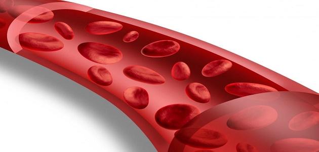 كيف أزيد دمي صورة مقال كيف أزيد دمي