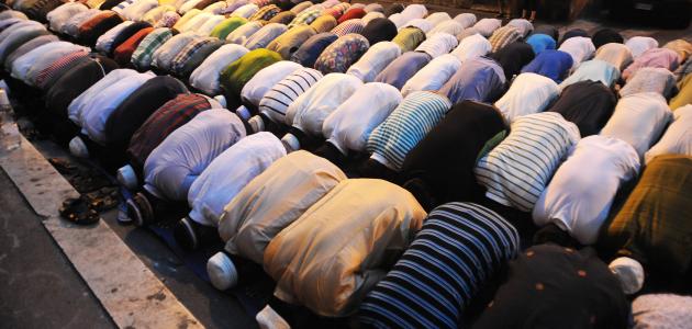 كم عدد ركعات صلاة ليلة القدر صورة مقال كم عدد ركعات صلاة ليلة القدر