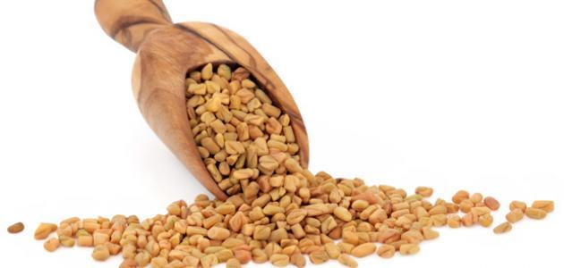 كيف تستخدم الحلبة لزيادة الوزن صورة مقال كيف تستخدم الحلبة لزيادة الوزن