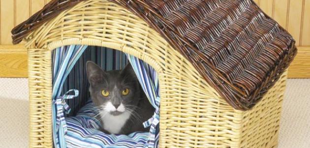 كيف تصنع بيت للقطط صورة مقال كيف تصنع بيت للقطط
